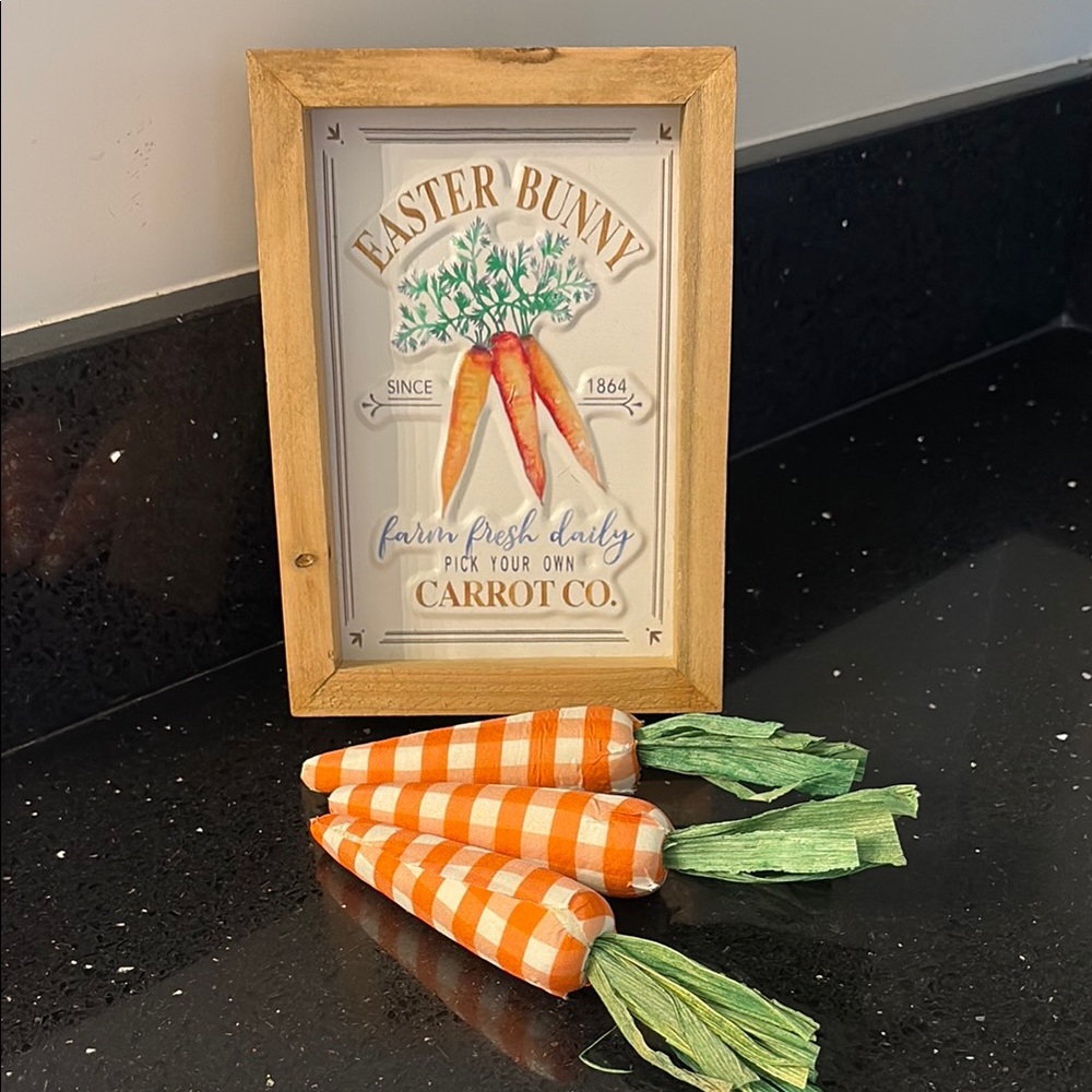 NWT Farm Fresh Easter Bunny Carrot Sign & 3 Orange Gingham Checked Carrots